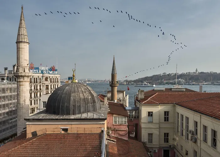 Ada Karakoy - Special Category